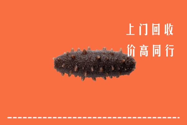 宕昌县回收海参