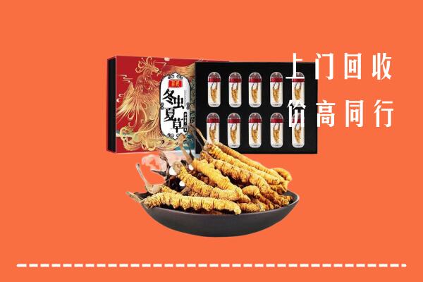宕昌县回收虫草